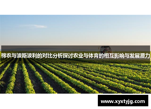 棉农与波斯波利的对比分析探讨农业与体育的相互影响与发展潜力
